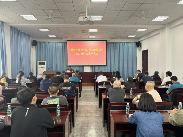 电力公司召开工会委员会选举大会、一届一次会员大会